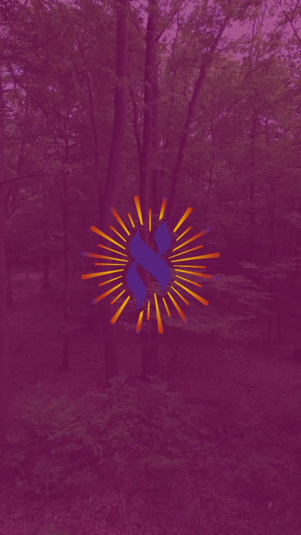 Aleph breathing reel &mdash; the brand starburst over a forest canopy